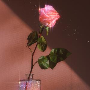 没有爱情的人生叫受罪。