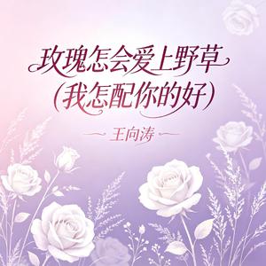 玫瑰怎会爱上野草(我怎配你的好)