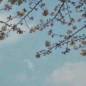 那年十四