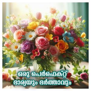 SHAHUL MALAYIL MALAYALAM STORY ഒരു പെർഫെക്റ്റ് ഭാര്യയും ഭർത്താവും