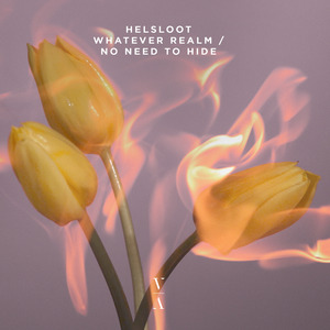 No Need To Hide (Original Mix)