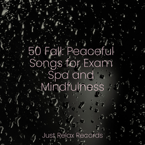 Crystal Cloak of Winter