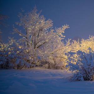 きよしこの夜、あなたと