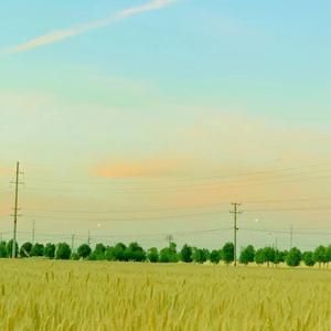 舒适工作背景音乐（白噪音）