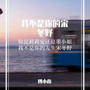 我不是你的宋冬野