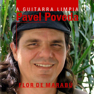 Tema "A guitarra limpia"