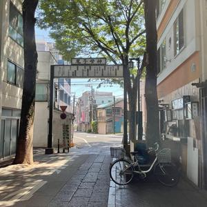 混沌世界の終わりに