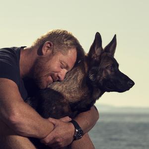 German Shepherd Glow