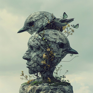 Caminos Silenciosos De Reflexión