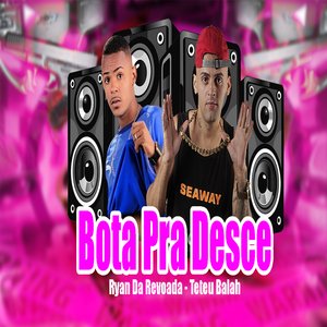 Bota pra Desce