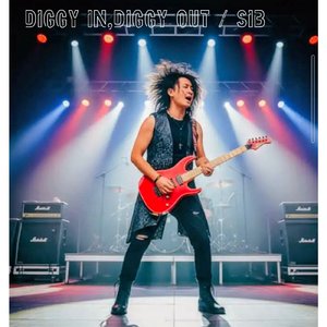 Diggy In,Diggy Out