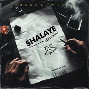 Shalaye (feat. opilog daproducer)