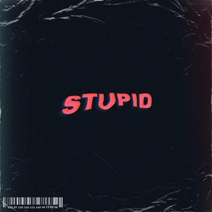 STUPID