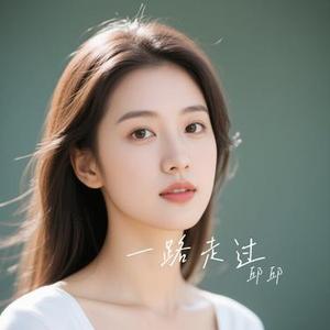 一路走过 (Cover 海来阿木)