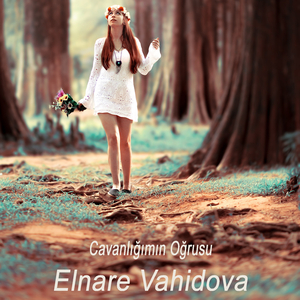 Cavanlığımın Oğrusu (Remix)