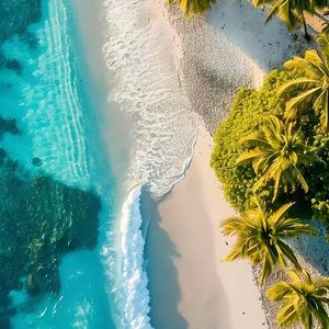 又不是最爱-刘的 伴奏