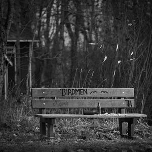 Birdmen (feat. Pekko Käppi)