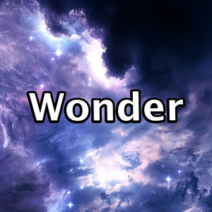 Wonder