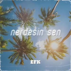 Nerdesin Sen
