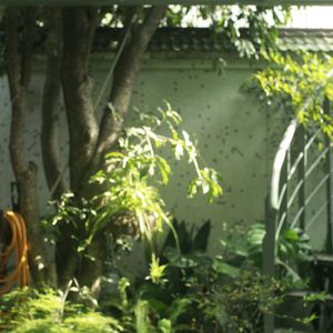 Chasing The Spring 逐春