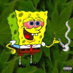 Kelp