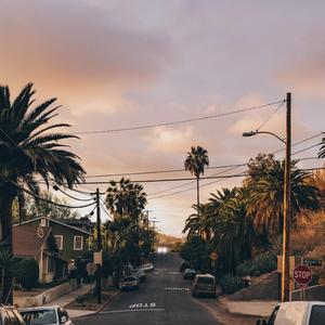 Love in LA