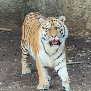 宿命の戦い 壮大なサイクル