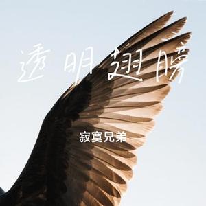 透明翅膀