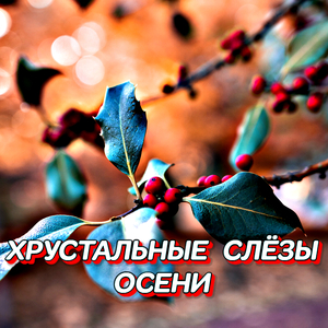 Хрустальные слёзы осени