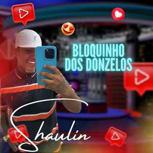 Bloquinho dos Donzelos: Eu Só Boto / Sequencia de Pirocão / Senta no Pau / João Todo / Naipe de Vagabundo / Coroa Ta na Pista