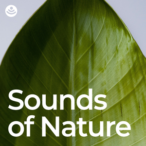 Soothing Nature Sound