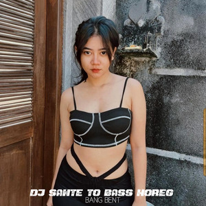 Dj Sante to Bass Horeg