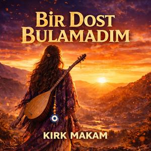 Bir Dost Bulamadım