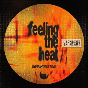 Feeling the Heat (Hyperaktivist Remix)