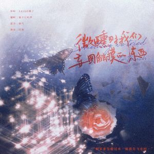 微醺时我们妄图触摸的东西