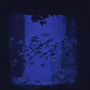 月球旅行（Prod by NeonMusic）