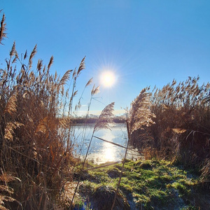 Заборонений дім