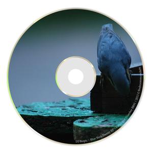 My Bird Named Blue (Tripped Out Mix)