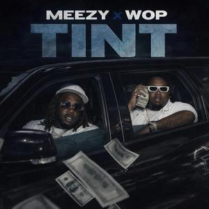 TINT (feat. Meezy)