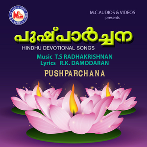 Nakshathra Rudraakhsa