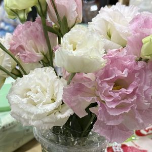 找到你是我最伟大的成功