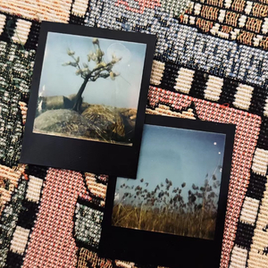 你就是我的风景slowversion