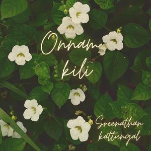 Onnaamkili (feat. Athul Bineesh) (Recreated version)