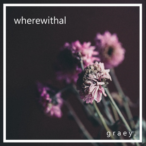wherewithal