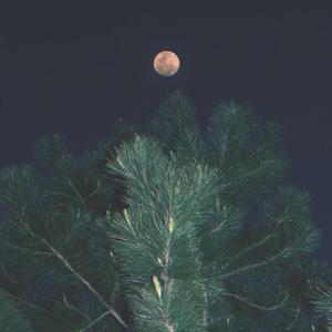月光它持续地闪灭（Version1)