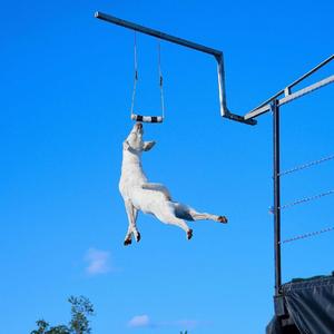 天 道 酬 勤（prod by Red killer）