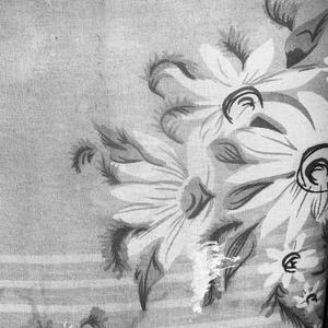 LAS CRONICAS DEL LEON