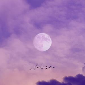 白噪音 - 舒缓情绪