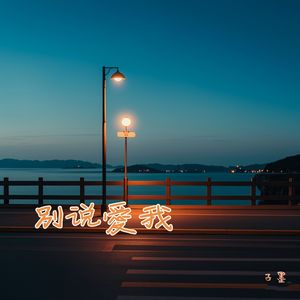 别说爱我
