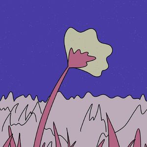 晚间新闻